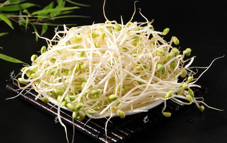 無公害綠色豆芽，怎么生產(chǎn)出來的？全套生產(chǎn)過程如此方便智能